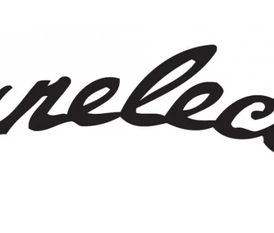Danelectro